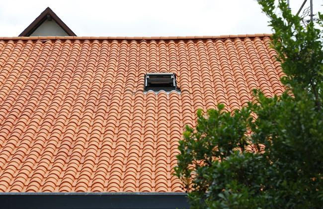 COMPLETE GARAGE RENOVATION