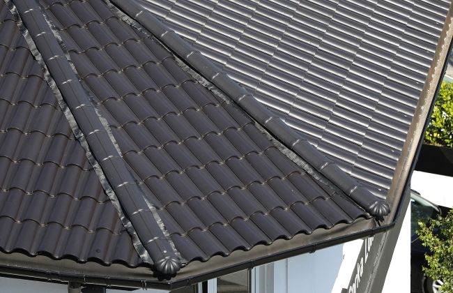 STRUCTURAL ROOF REHABILITATION – GORKA LOMEÑA – IRUN