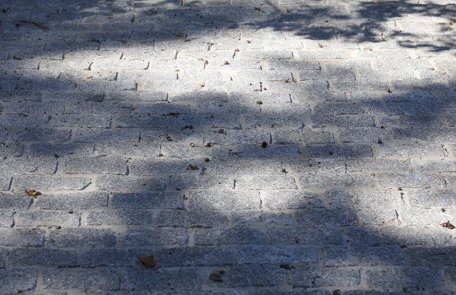 Bidarteko Harri Adoquindun Bidea
